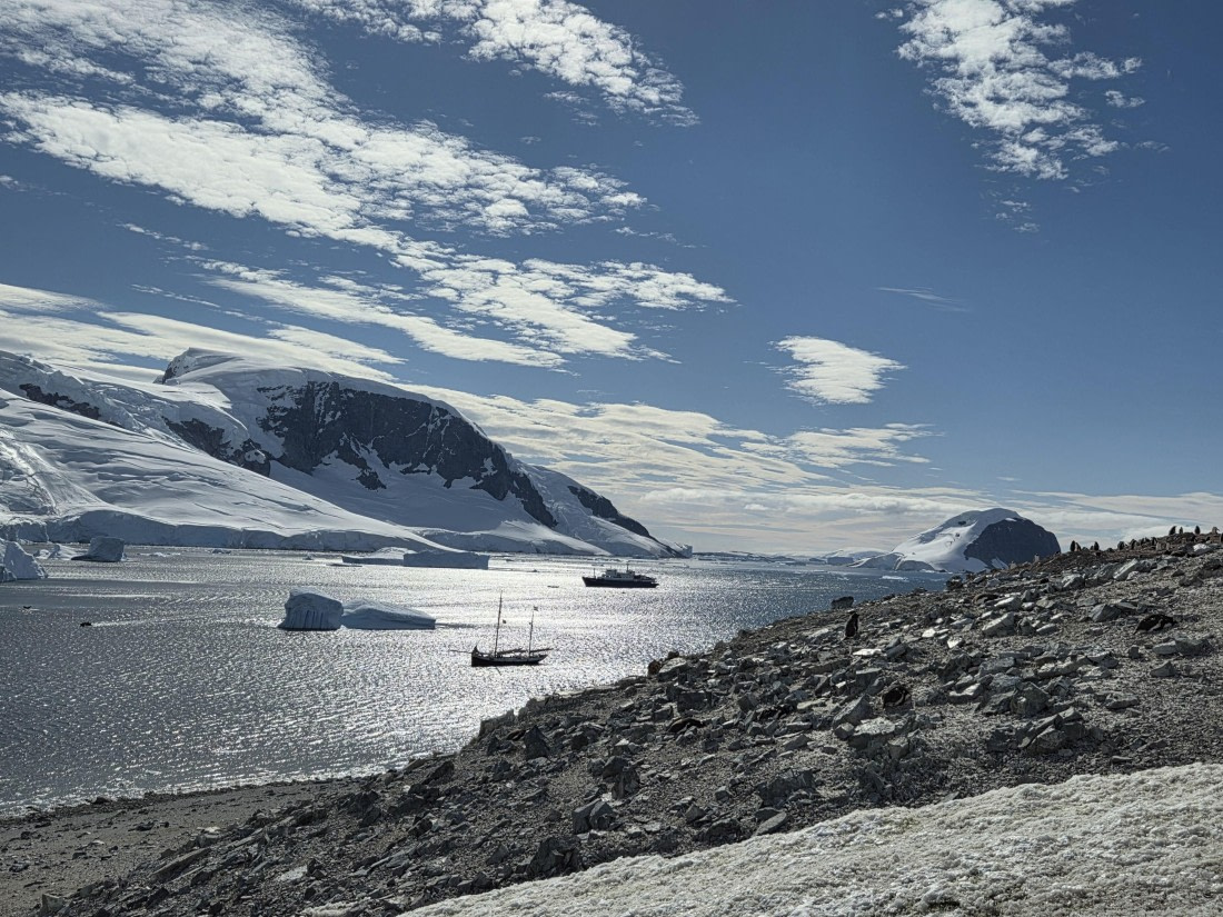 PLA28-26, Day 7, 20260212_152127 © Unknown photographer - Oceanwide Expeditions.jpg
