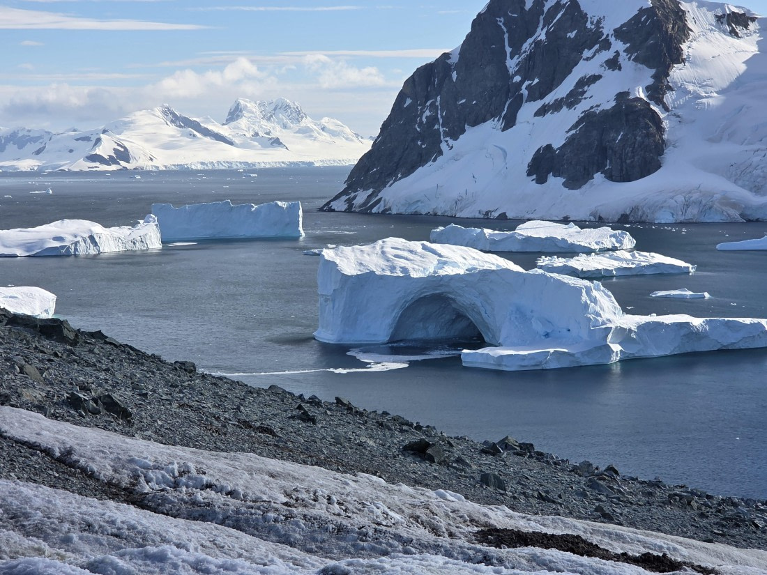 PLA28-26, Day 7, 20260212_165651 © Unknown photographer - Oceanwide Expeditions.jpg