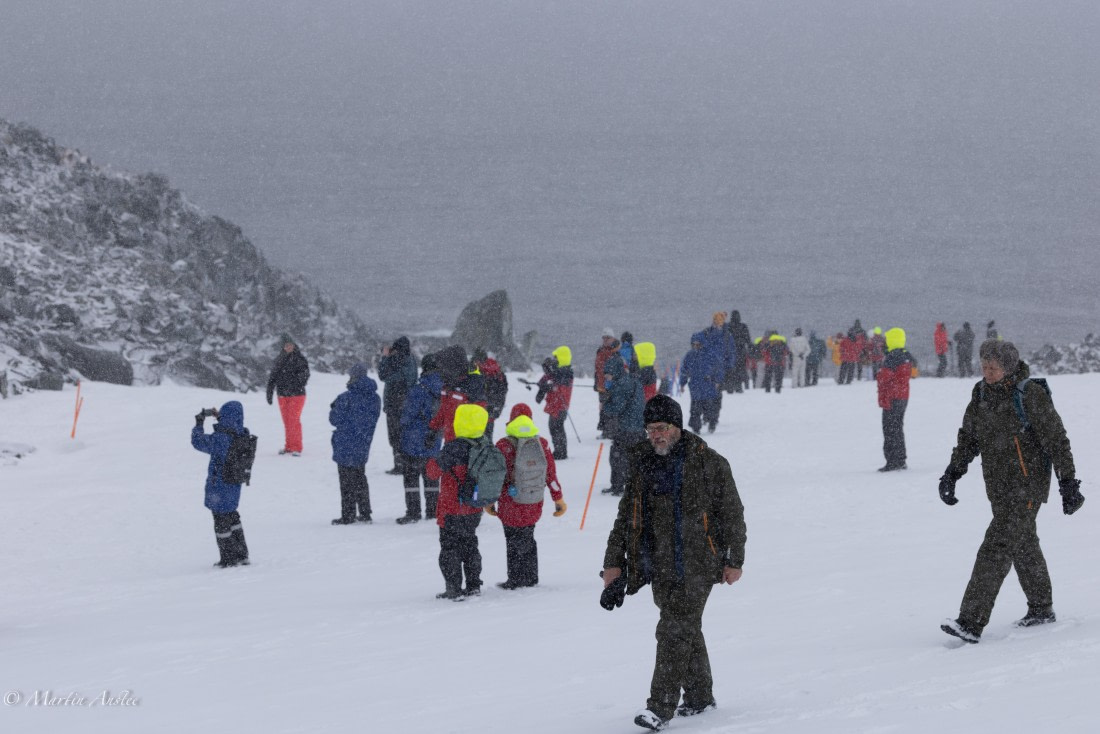 PLA28-26, Day 4, 0Q9A7761 © Martin Anstee - Oceanwide Expeditions.jpg