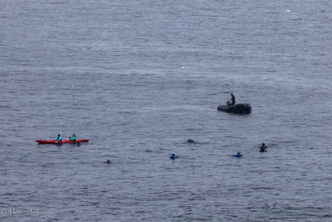 PLA28-26, Day 4, 0Q9A7768 © Martin Anstee - Oceanwide Expeditions.jpg