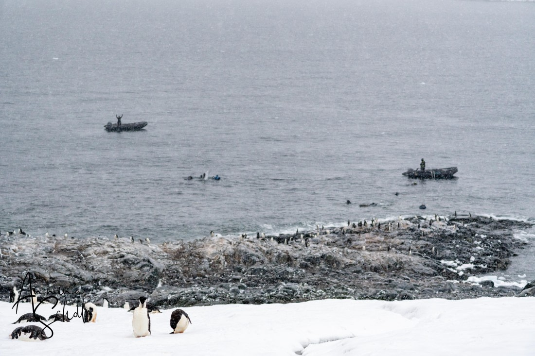PLA28-26, Day 4, DSC06375 © Annina Scholl - Oceanwide Expeditions.jpg
