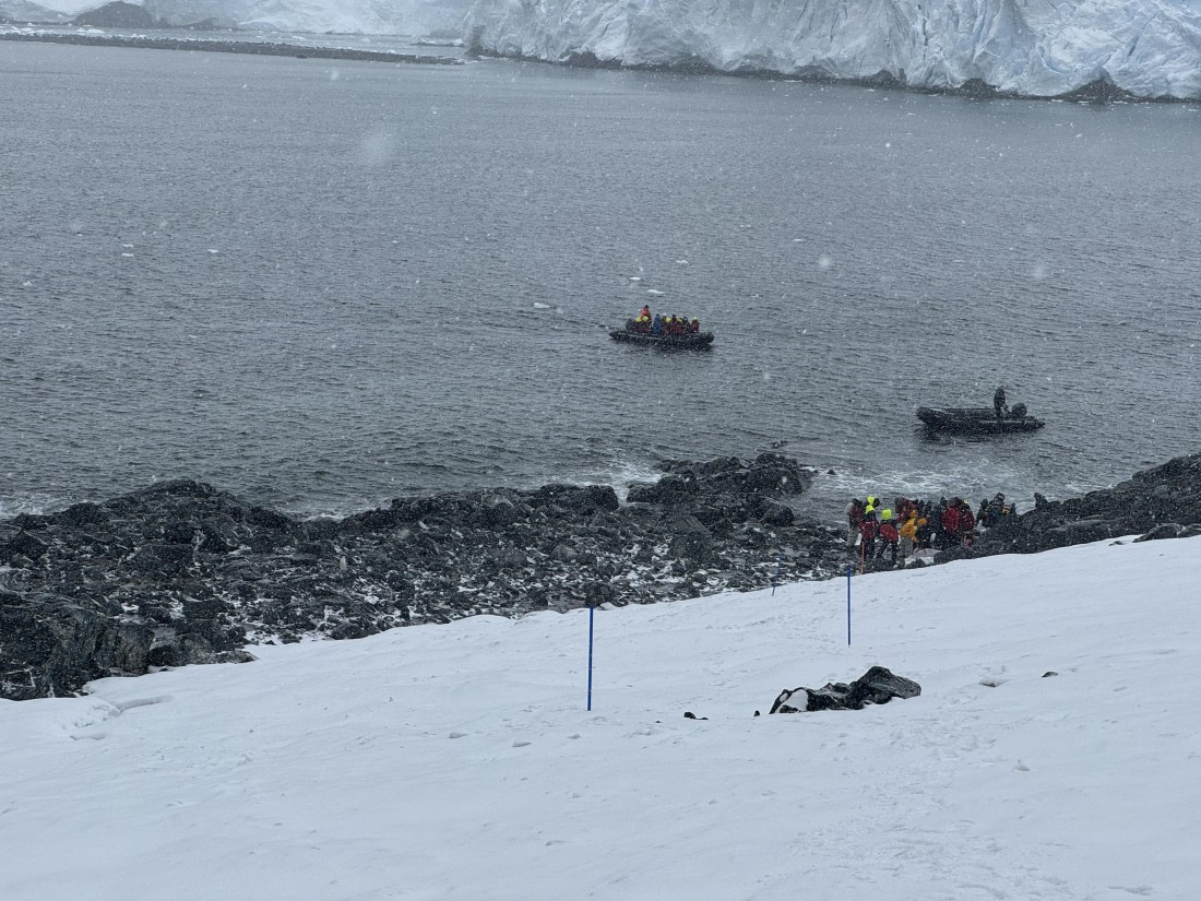 PLA28-26, Day 4, IMG_1354 © Unknown photographer - Oceanwide Expeditions.JPG