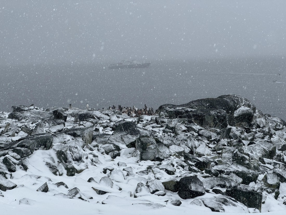 PLA28-26, Day 4, IMG_1358 © Unknown photographer - Oceanwide Expeditions.JPG