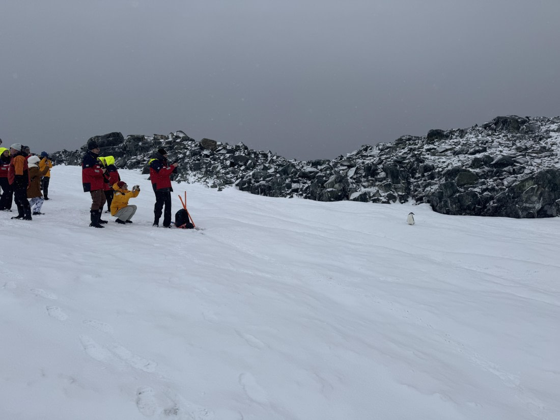 PLA28-26, Day 4, IMG_1360 © Unknown photographer - Oceanwide Expeditions.JPG