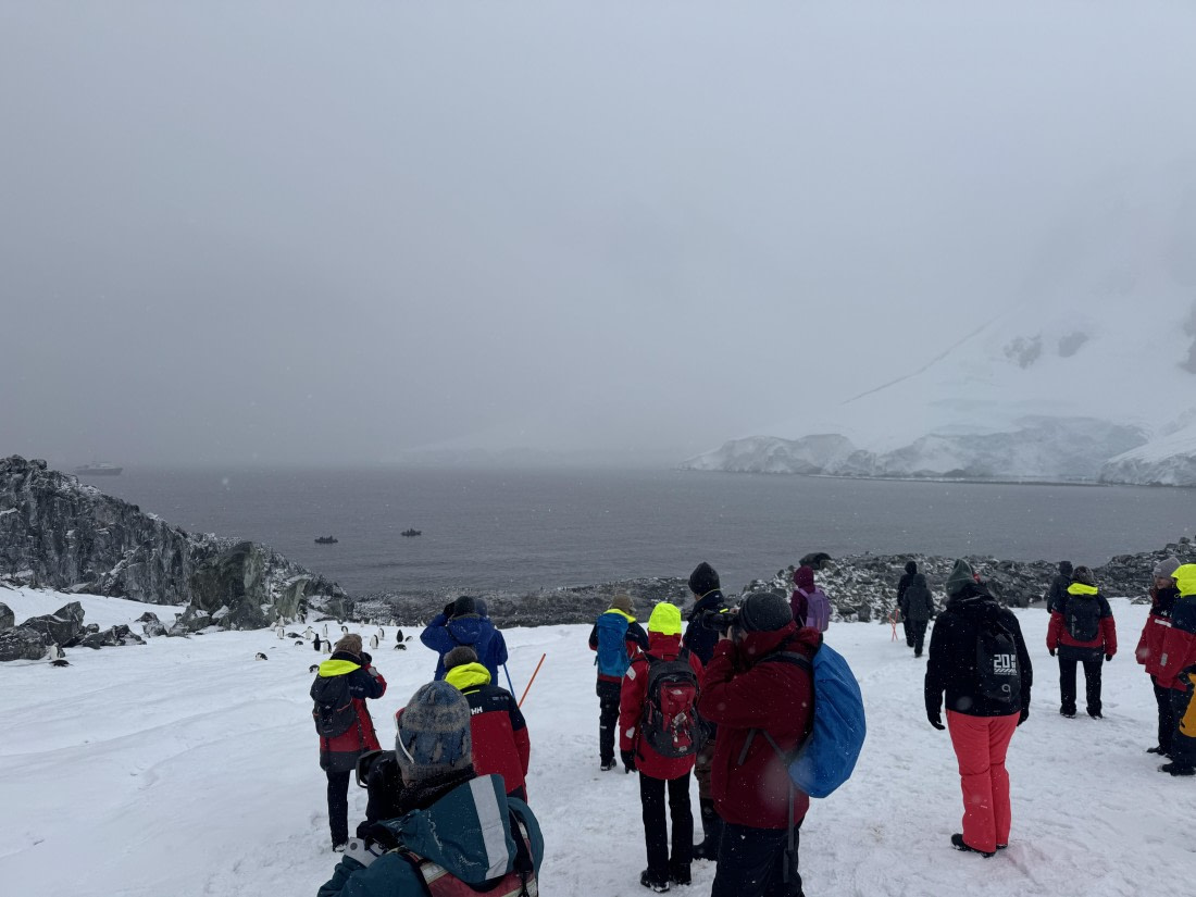 PLA28-26, Day 4, IMG_1365 © Unknown photographer - Oceanwide Expeditions.JPG