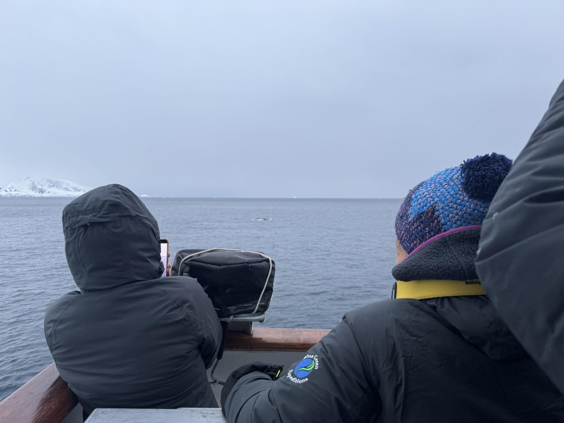 PLA28-26, Day 4, IMG_1383 © Unknown photographer - Oceanwide Expeditions.JPG