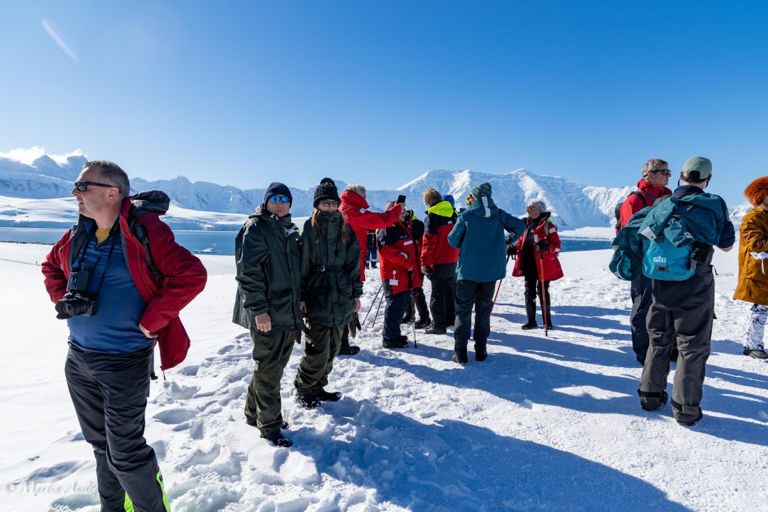 PLA28-26, Day 6, 095A5696 © Martin Anstee - Oceanwide Expeditions.jpg