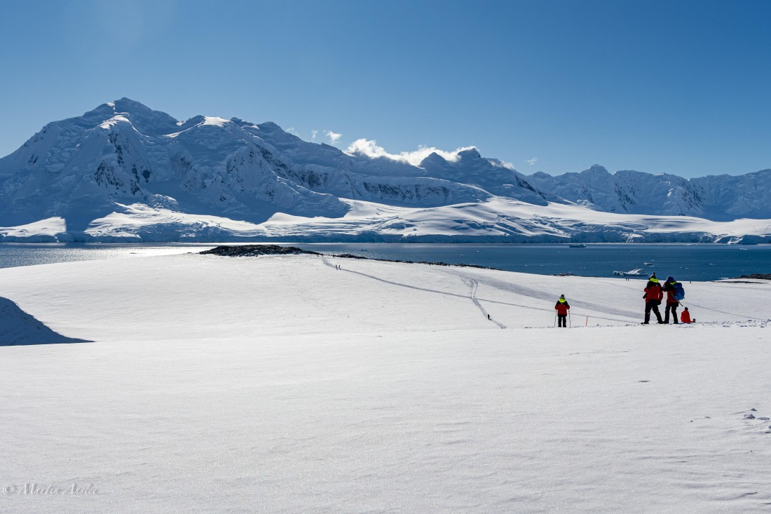 PLA28-26, Day 6, 095A5697 © Martin Anstee - Oceanwide Expeditions.jpg