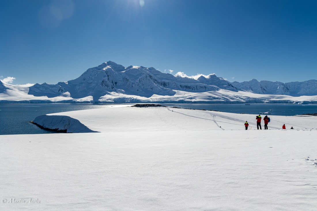 PLA28-26, Day 6, 095A5698 © Martin Anstee - Oceanwide Expeditions.jpg