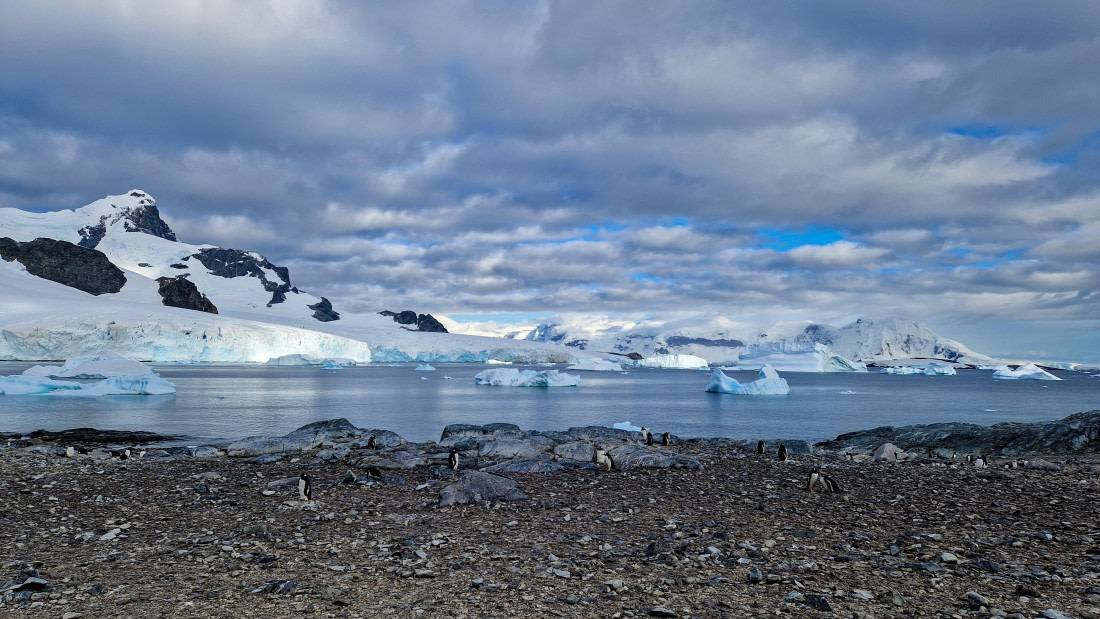 PLA28-26, Day 6, 20260211_083310 © Unknown photographer - Oceanwide Expeditions.jpg