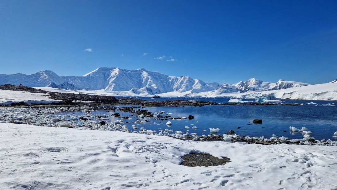 PLA28-26, Day 6, 20260211_150558 © Unknown photographer - Oceanwide Expeditions.jpg