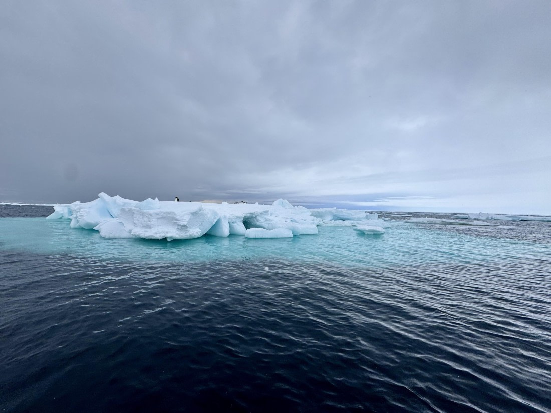 OTL29a26, Day 13, contrast.jpeg © Lucas Jacobson - Oceanwide Expeditions.jpeg