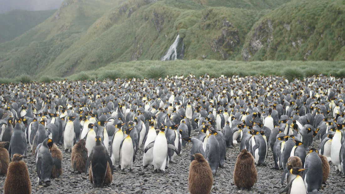 OTL29a26, Day 5, DSC03950.JPG © Jess Owen - Oceanwide Expeditions.JPG