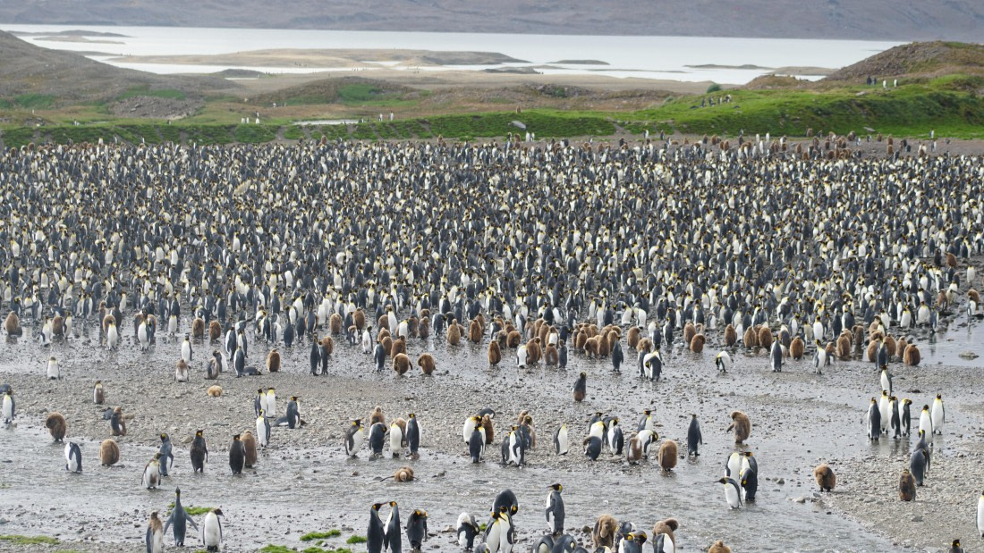 OTL29a26, Day 5, DSC04034.JPG © Jess Owen - Oceanwide Expeditions.JPG