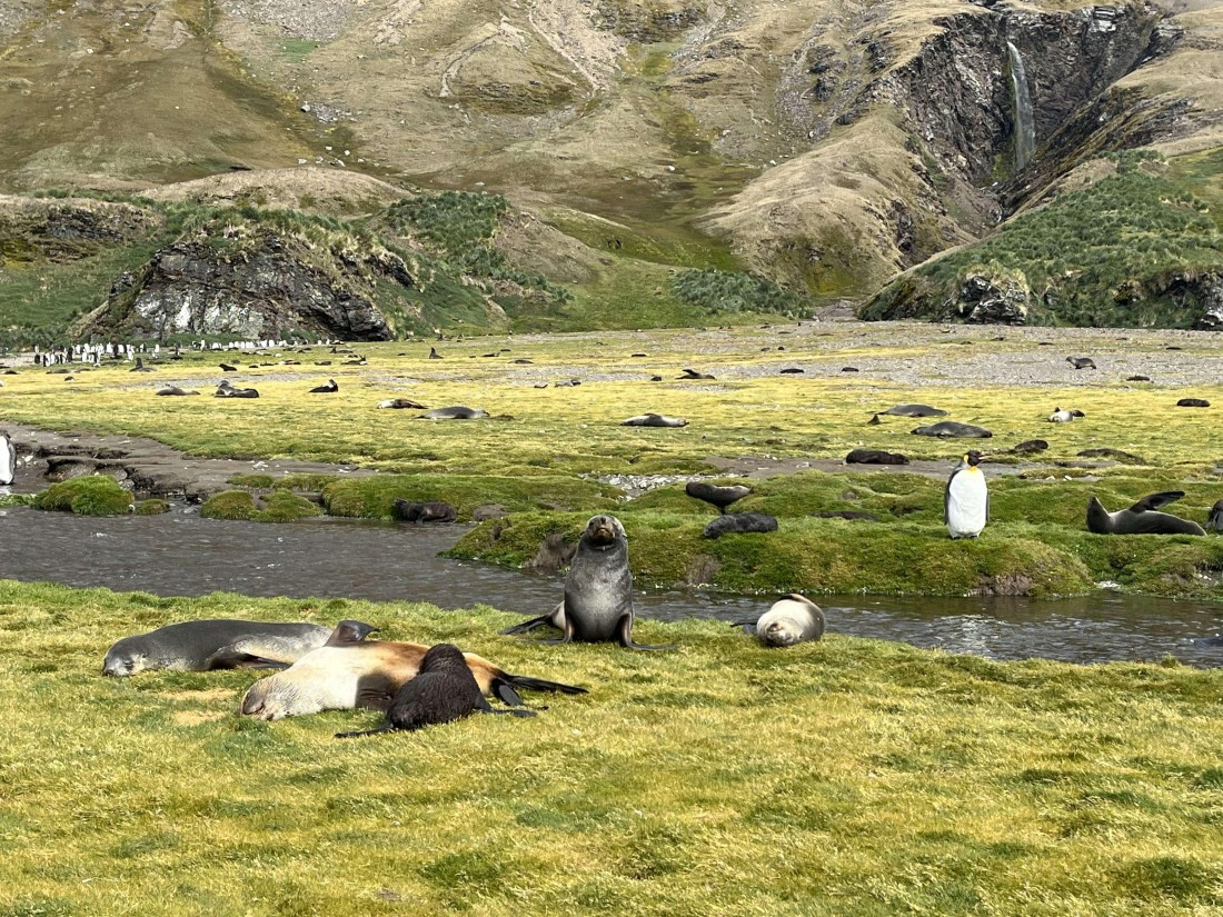 OTL29a26, Day 6, IMG_8476.jpg © Unknown photographer - Oceanwide Expeditions.jpg