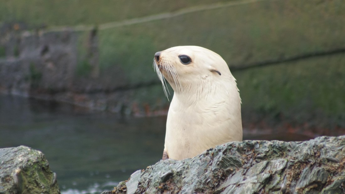 OTL29a26, Day 7, DSC04138.JPG © Jess Owen - Oceanwide Expeditions.JPG