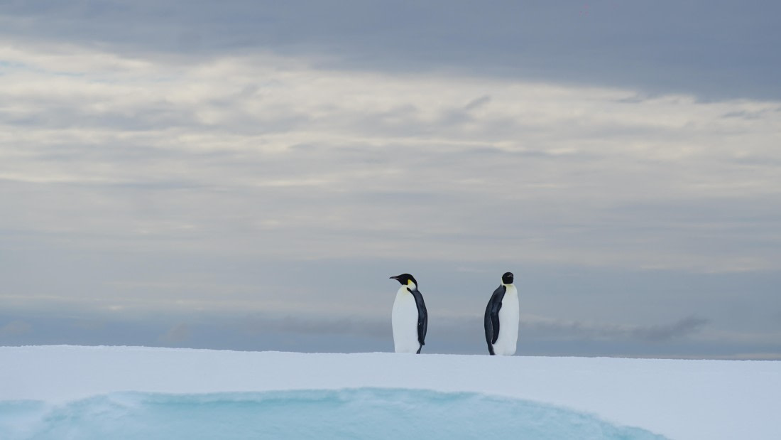 OTL29a26, Day 13, DSC04490.JPG © Jess Owen - Oceanwide Expeditions.JPG