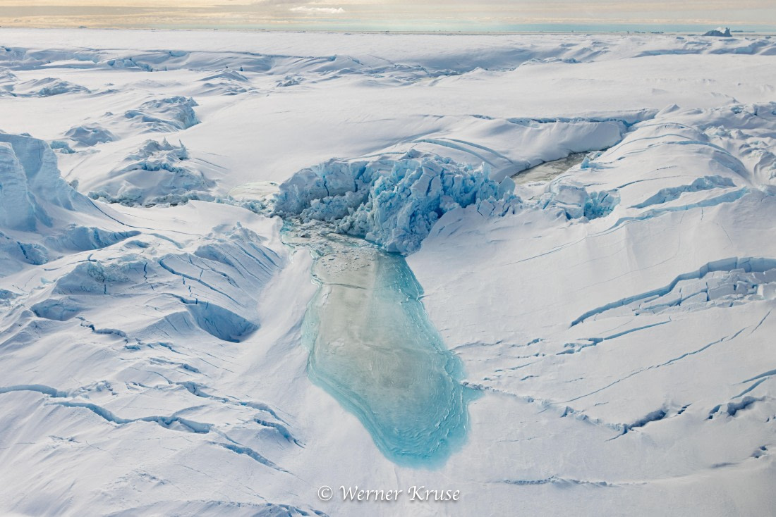 OTL29a26, Day 15, Vahsel-Filchner_WKR51271.jpg © Werner Kruse - Oceanwide Expeditions.jpg