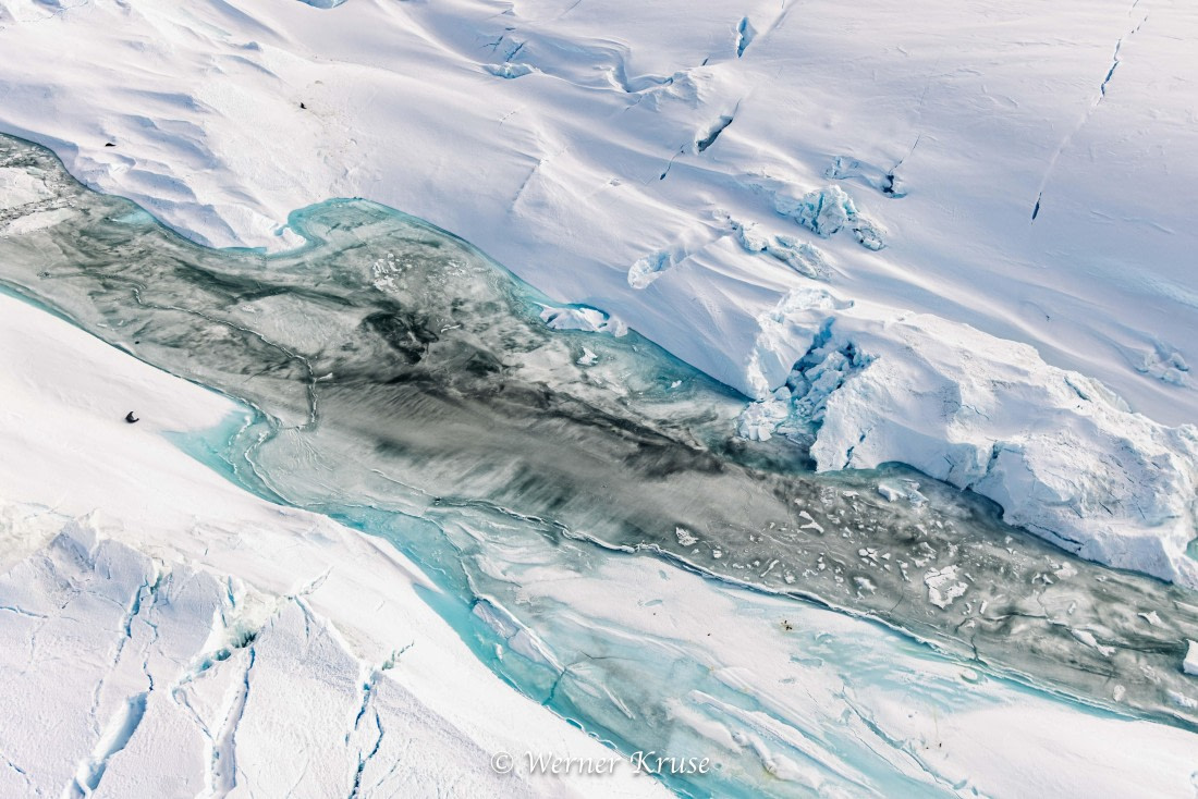 OTL29a26, Day 15, Vahsel-Filchner_WKR51280.jpg © Werner Kruse - Oceanwide Expeditions.jpg