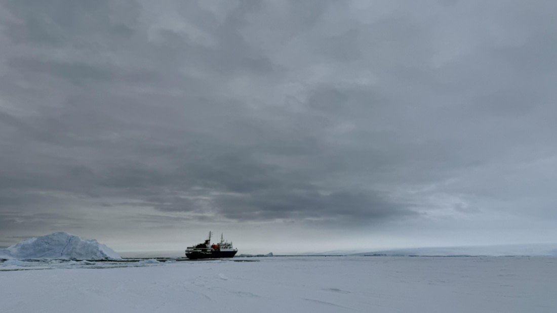 OTL29a26, Day 16, IMG_4927.jpg © Unknown photographer - Oceanwide Expeditions.jpg