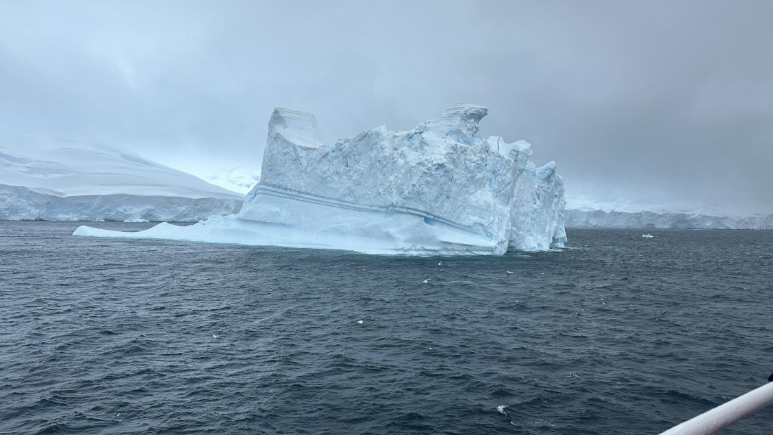 OTL30a26, Day 4, IMG_0189.JPG © Unknown Photographer - Oceanwide Expeditions.JPG