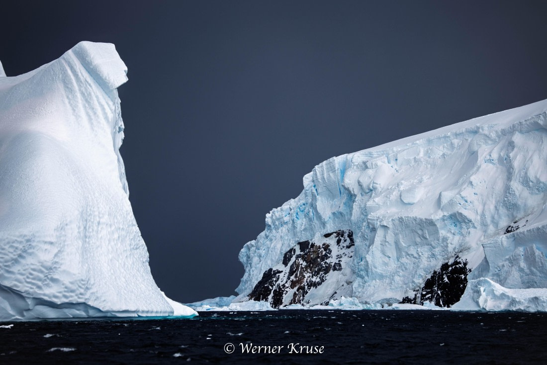 OTL30a26, Day 4, Salmon Cove_WKR52169.jpg © Werner Kruse - Oceanwide Expeditions.jpg