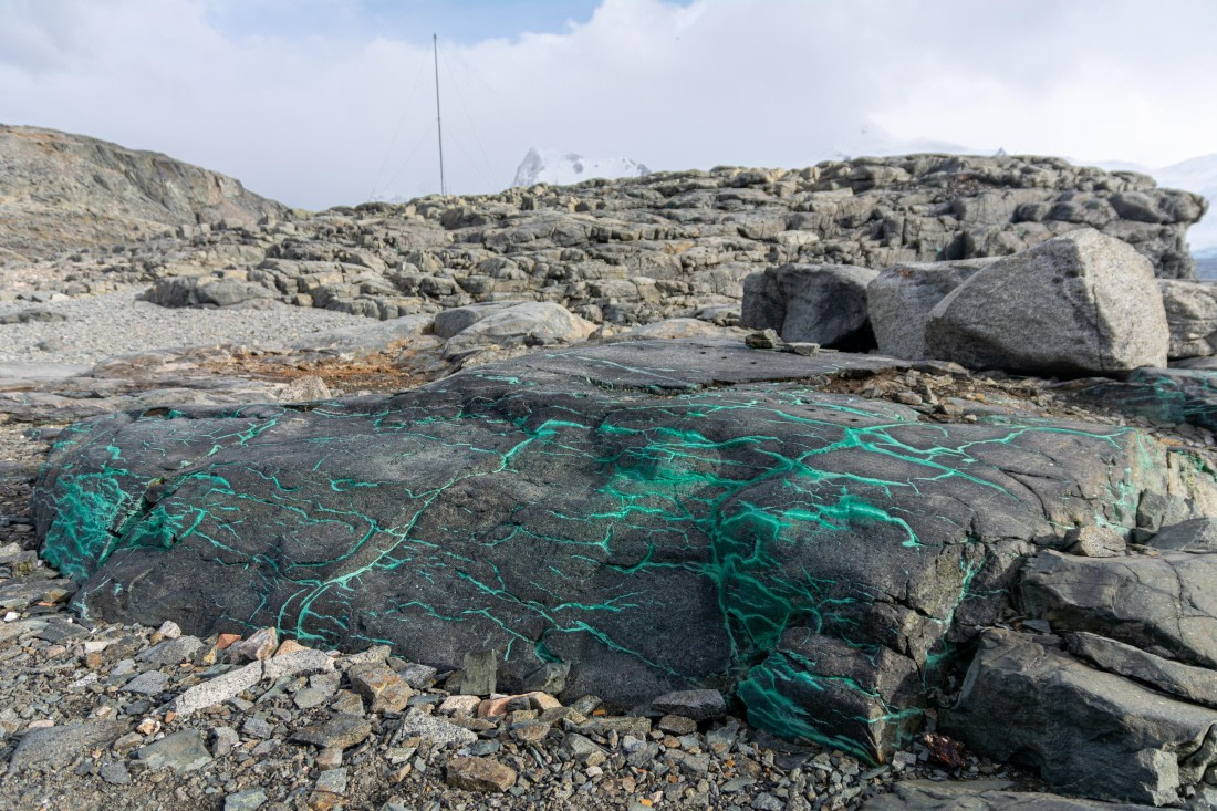 OTL30a26, Day 5, _DSC2574.jpg © Unknown Photographer - Oceanwide Expeditions.jpg