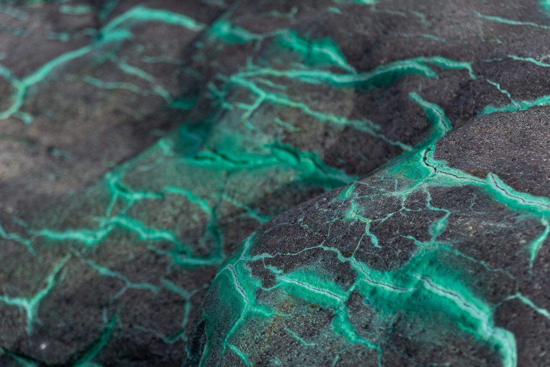 OTL30a26, Day 5, _DSC2575.jpg © Unknown Photographer - Oceanwide Expeditions.jpg