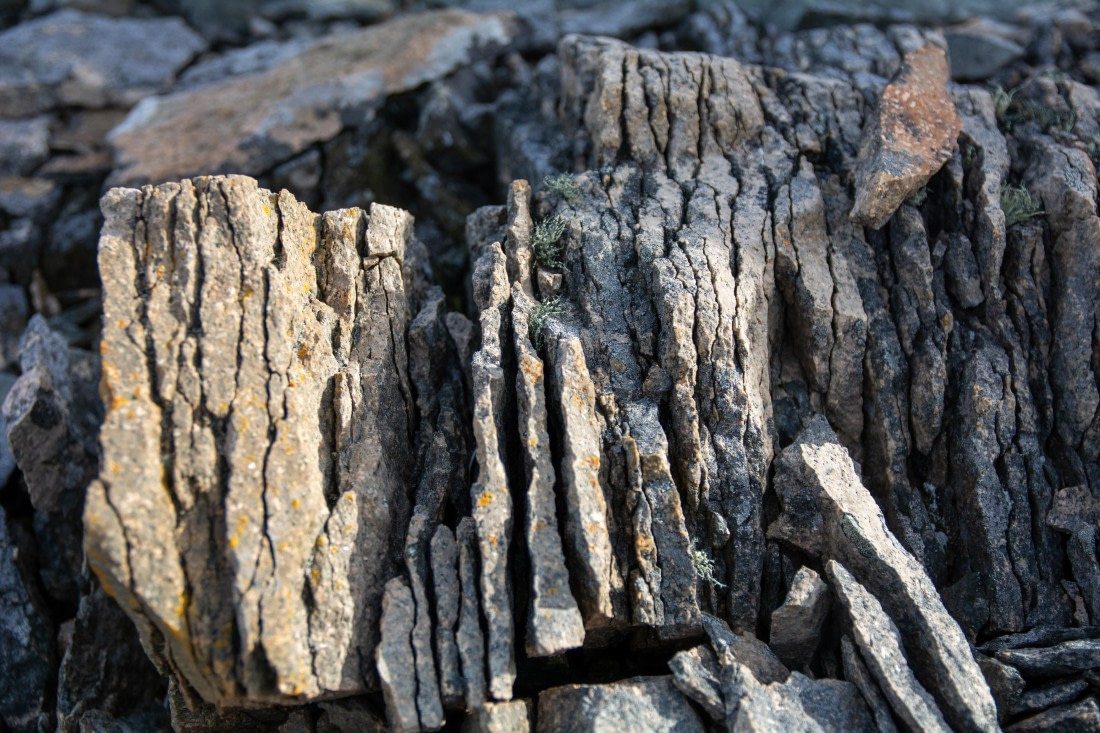 OTL30a26, Day 5, _DSC2581.jpg © Unknown Photographer - Oceanwide Expeditions.jpg