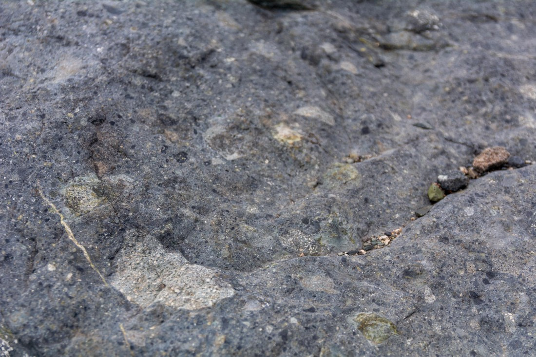 OTL30a26, Day 5, _DSC2587.jpg © Unknown Photographer - Oceanwide Expeditions.jpg