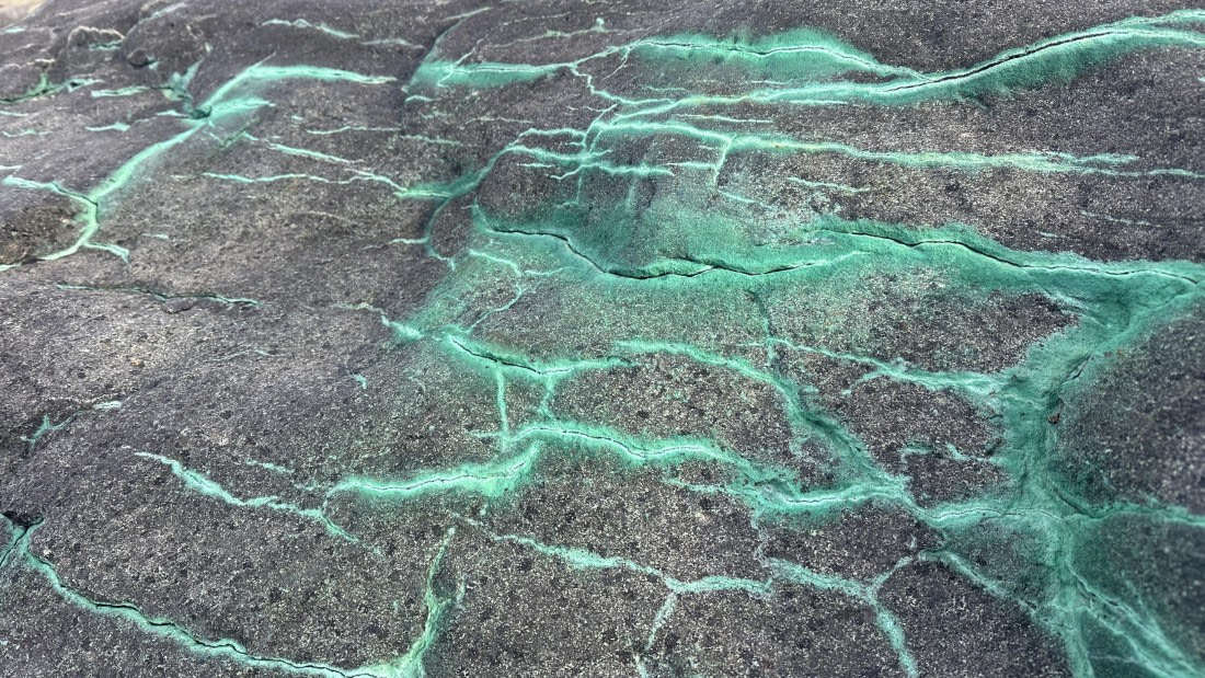 OTL30a26, Day 5, IMG_0198.JPG © Unknown Photographer - Oceanwide Expeditions.JPG