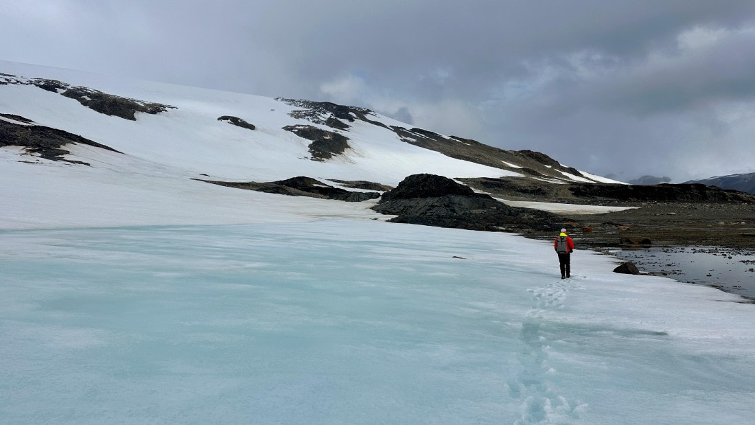 OTL30a26, Day 5, IMG_9105.jpeg © Unknown Photographer - Oceanwide Expeditions.jpeg