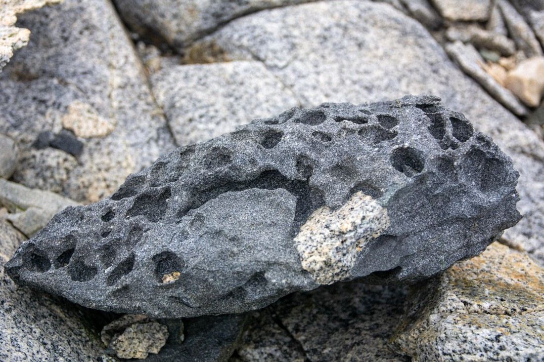 OTL30a26, Day 6, _DSC2596.jpg © Unknown Photographer - Oceanwide Expeditions.jpg