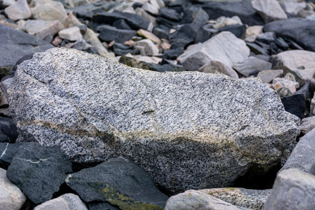 OTL30a26, Day 6, _DSC2598.jpg © Unknown Photographer - Oceanwide Expeditions.jpg