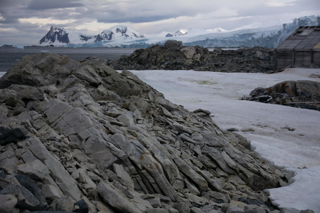 OTL30a26, Day 6, _DSC2599.jpg © Unknown Photographer - Oceanwide Expeditions.jpg