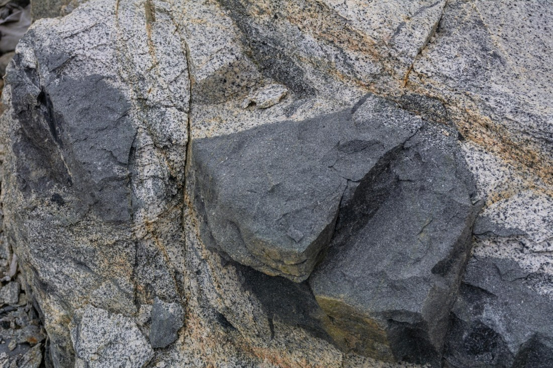 OTL30a26, Day 6, _DSC2605.jpg © Unknown Photographer - Oceanwide Expeditions.jpg