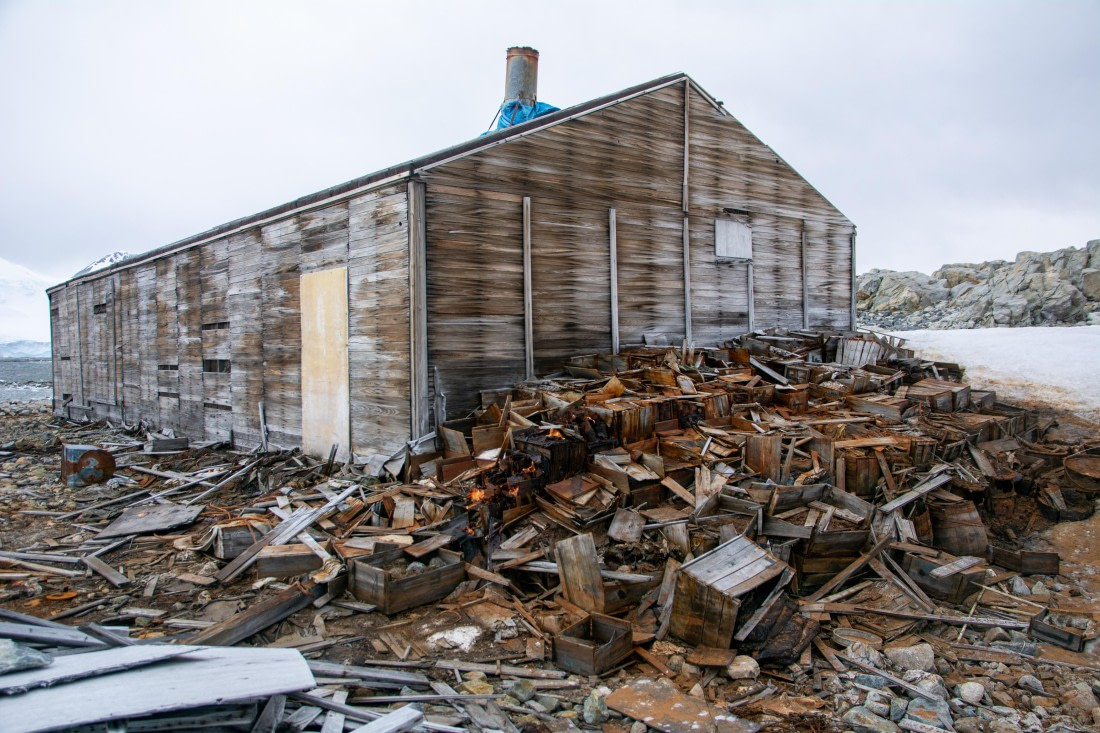 OTL30a26, Day 6, _DSC2607.jpg © Unknown Photographer - Oceanwide Expeditions.jpg