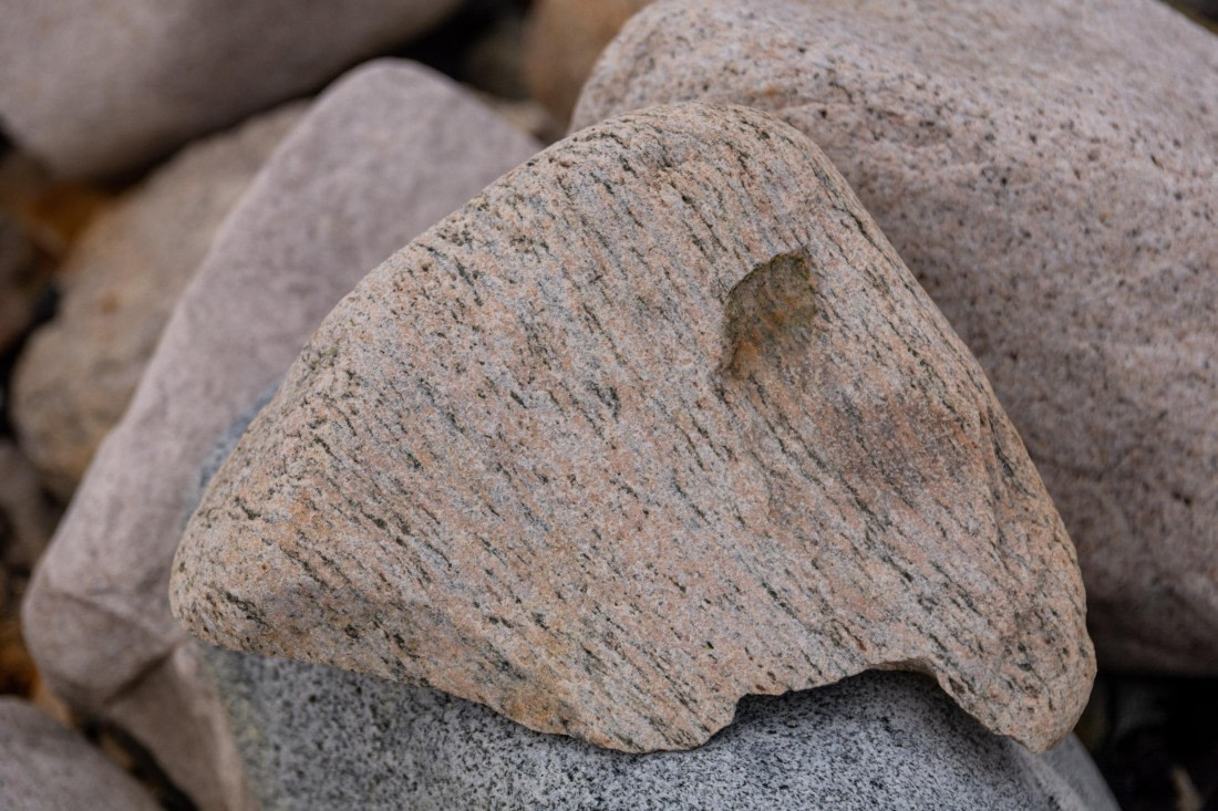 OTL30a26, Day 6, _DSC2608.jpg © Unknown Photographer - Oceanwide Expeditions.jpg