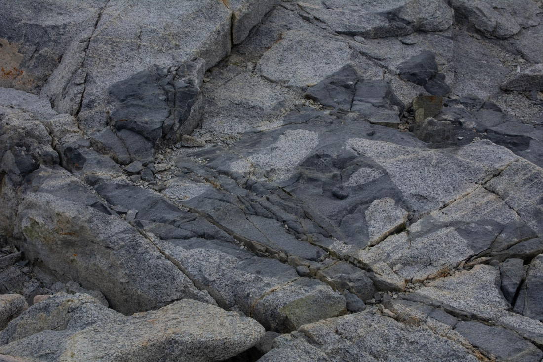 OTL30a26, Day 6, _DSC2610.jpg © Unknown Photographer - Oceanwide Expeditions.jpg