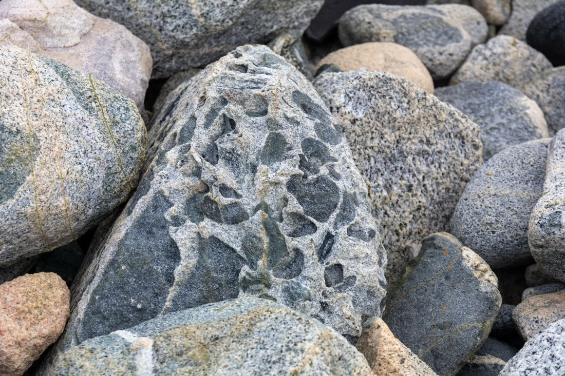 OTL30a26, Day 6, _DSC2614.jpg © Unknown Photographer - Oceanwide Expeditions.jpg