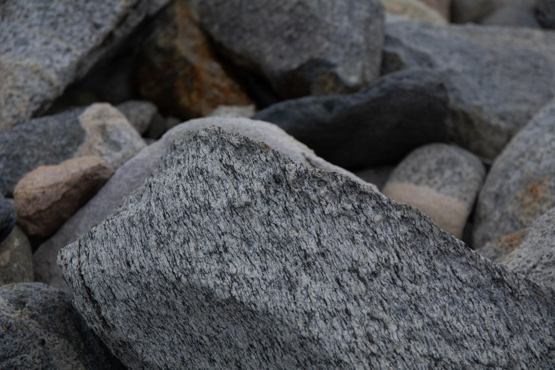 OTL30a26, Day 6, _DSC2617.jpg © Unknown Photographer - Oceanwide Expeditions.jpg