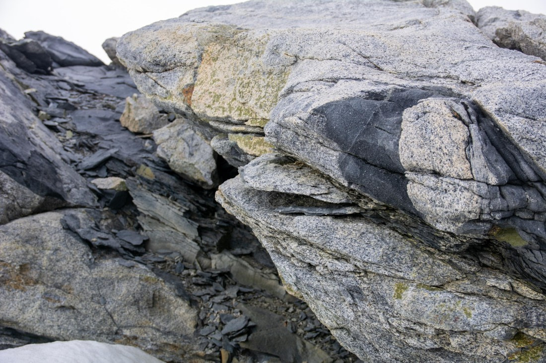 OTL30a26, Day 6, _DSC2619.jpg © Unknown Photographer - Oceanwide Expeditions.jpg