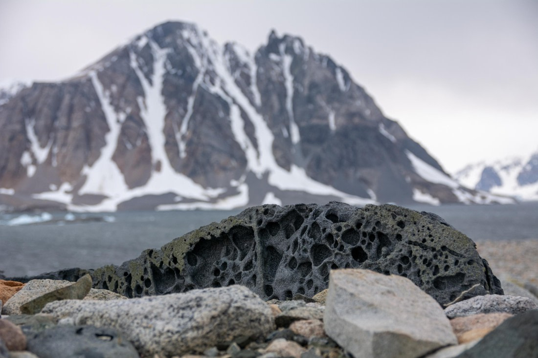 OTL30a26, Day 6, _DSC2626.jpg © Unknown Photographer - Oceanwide Expeditions.jpg