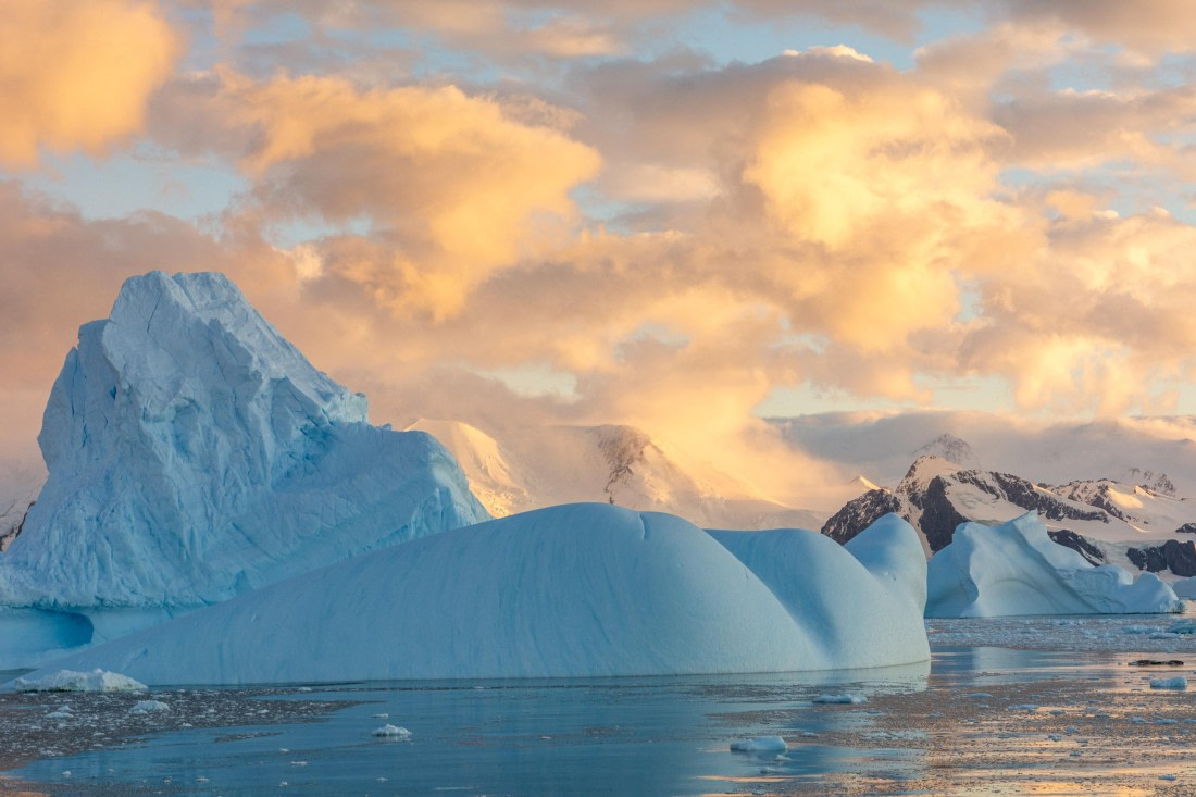 OTL30a26, Day 7, _DSC2641.jpg © Unknown Photographer - Oceanwide Expeditions.jpg