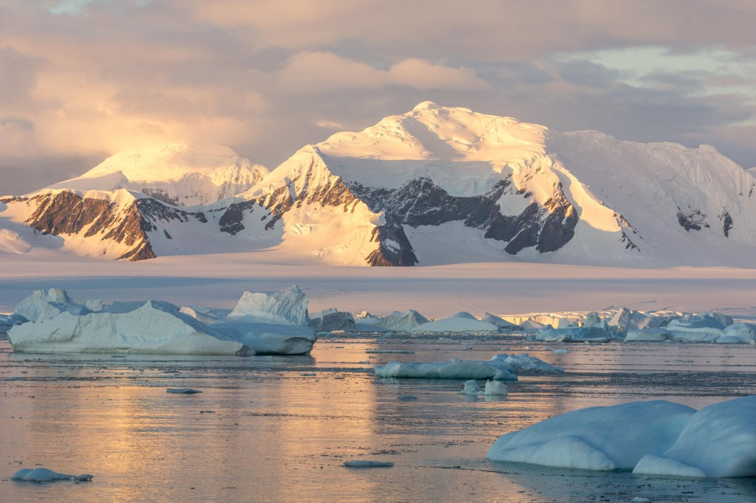 OTL30a26, Day 7, _DSC2643.jpg © Unknown Photographer - Oceanwide Expeditions.jpg