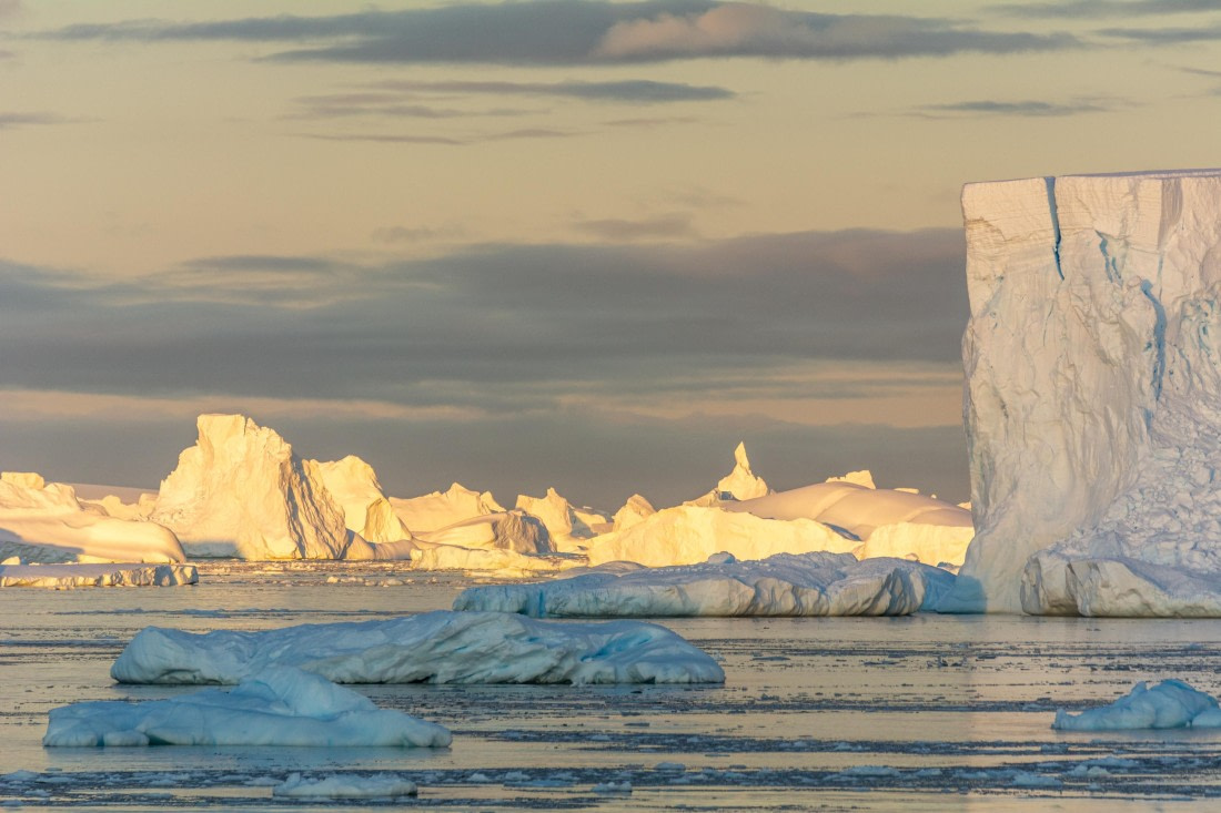 OTL30a26, Day 7, _DSC2650.jpg © Unknown Photographer - Oceanwide Expeditions.jpg