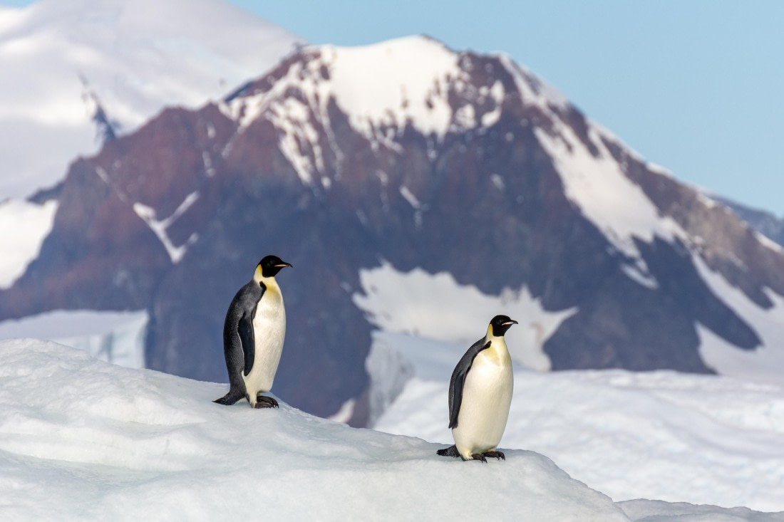 OTL30a26, Day 7, _DSC2671.jpg © Unknown Photographer - Oceanwide Expeditions.jpg