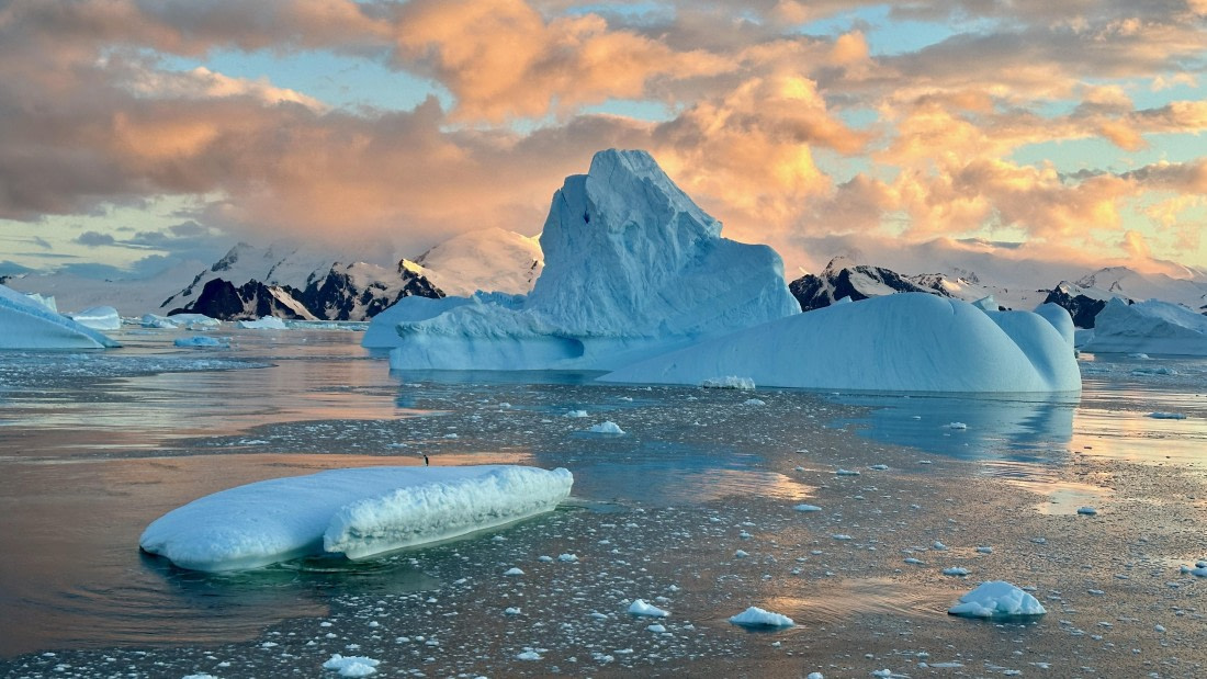 OTL30a26, Day 7, IMG_9131.jpeg © Allan White - Oceanwide Expeditions.jpeg