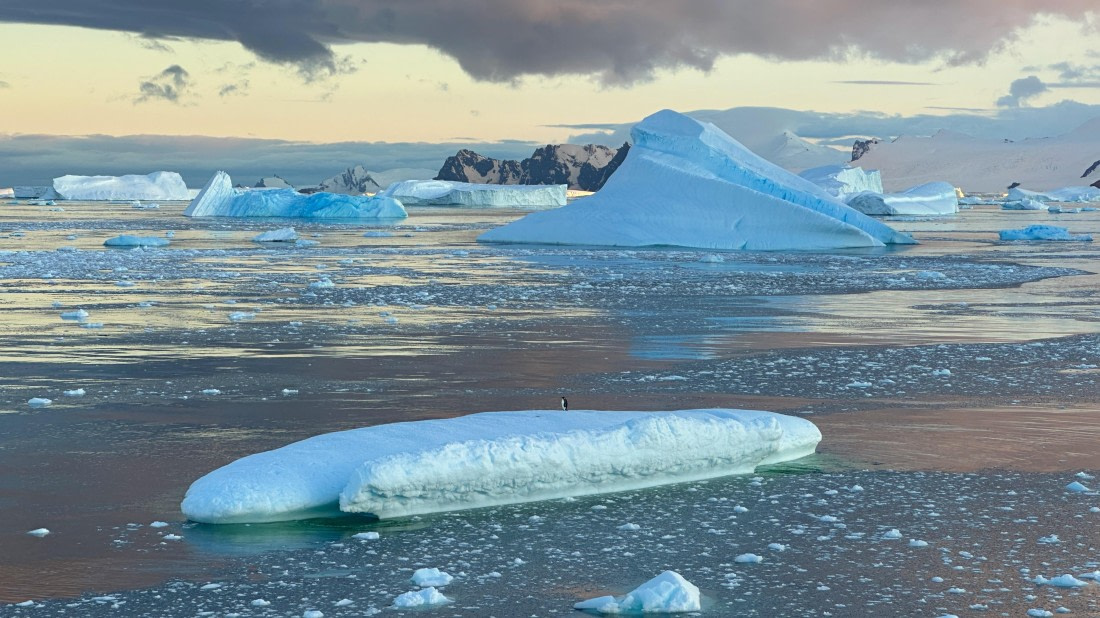 OTL30a26, Day 7, IMG_9138.jpeg © Allan White - Oceanwide Expeditions.jpeg