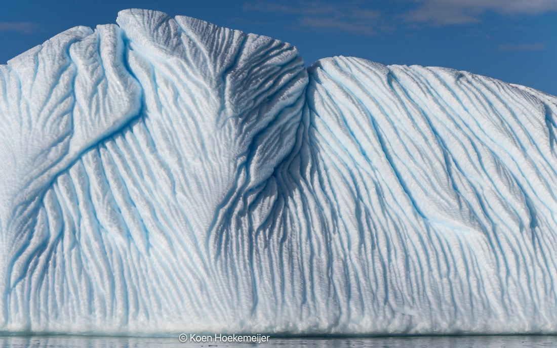 OTL30a26, Day 8, DSC_1340.jpg © Jess Owens - Oceanwide Expeditions.jpg